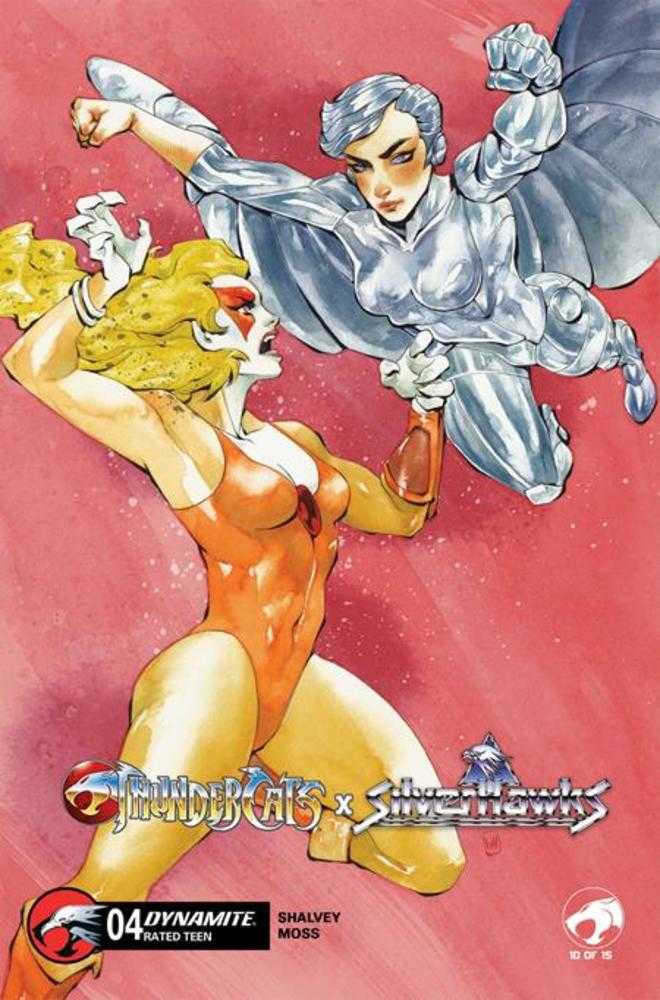 Thundercats X Silverhawks #4 Cover D Chuma Hill Variant (NM)