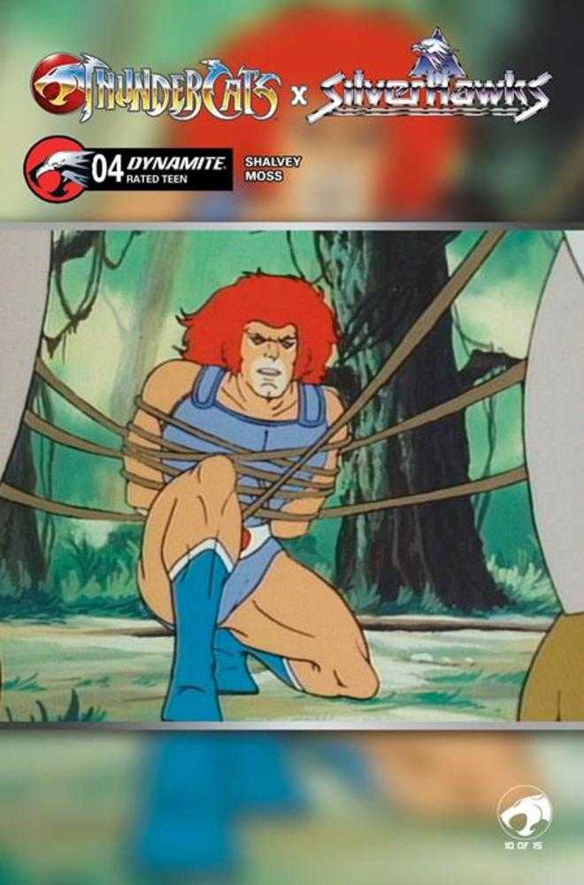 Thundercats X Silverhawks #4 Cover E Animation Art Variant (NM)
