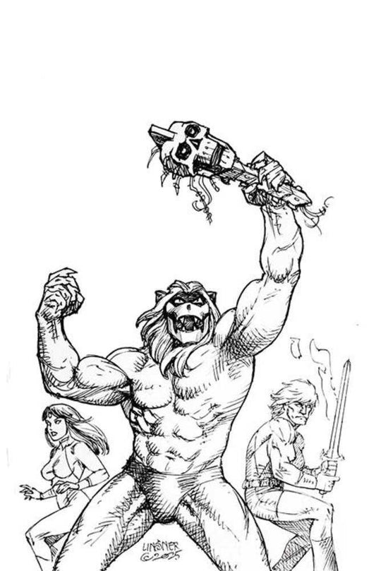 Thundarr The Barbarian #4 Cover N 1:10 Joseph Michael Linsner Line Art Full Art Variant (NM)