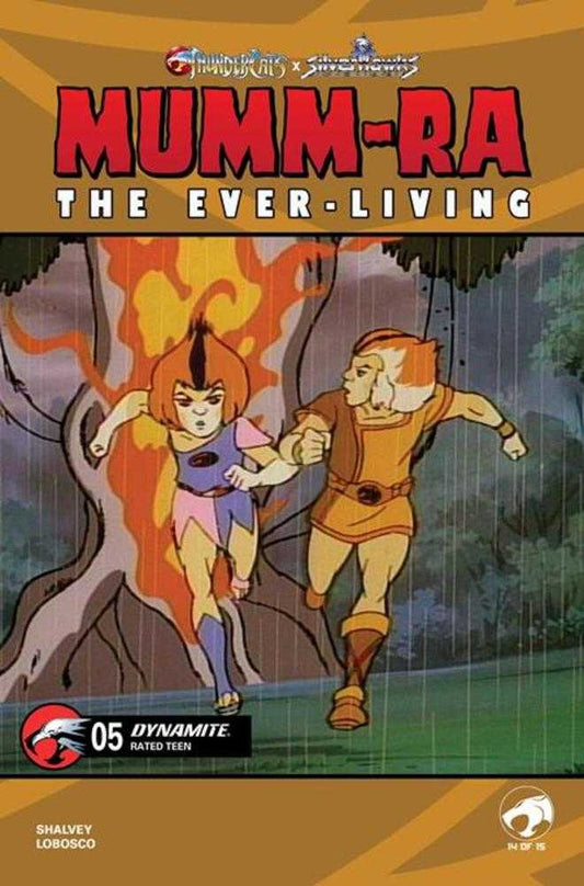 Mumm Ra The Ever Living #5 Cover E Animation Art Variant (NM)