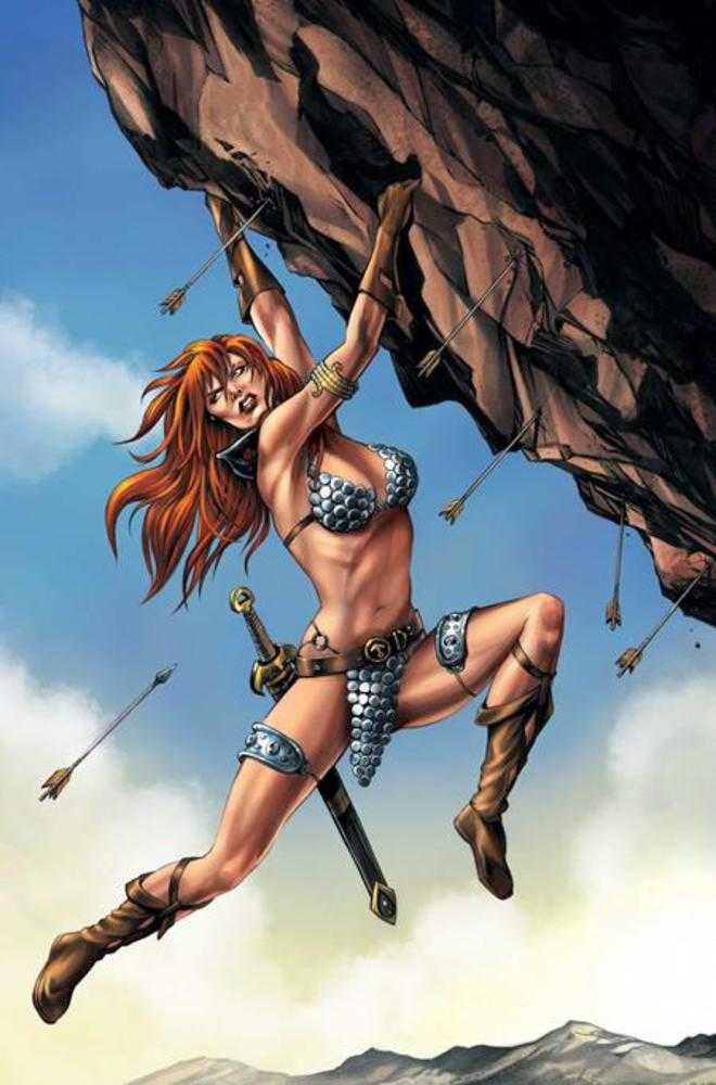 Red Sonja She Devil With A Sword #4 Cover I 1:10 Mike Rooth Full Art Variant (NM)