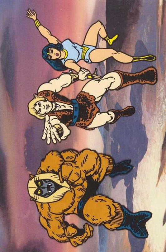 Thundarr The Barbarian #5 Cover L Inc 1:7 Jack Kirby Model Sheet Full Art Variant (VF)