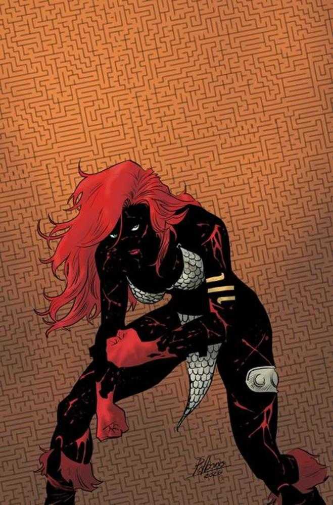 Red Sonja She Devil With A Sword #3 Cover O Inc 1:7 Pablo De Bonis Absolute Homage Full Art Variant (NM)