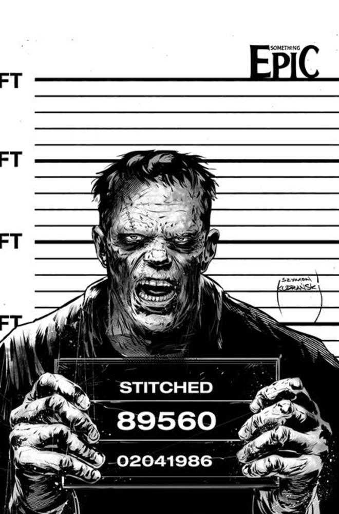 Something Epic #15 Cover C Szymon Kudranski Raw Art Variant (NM)