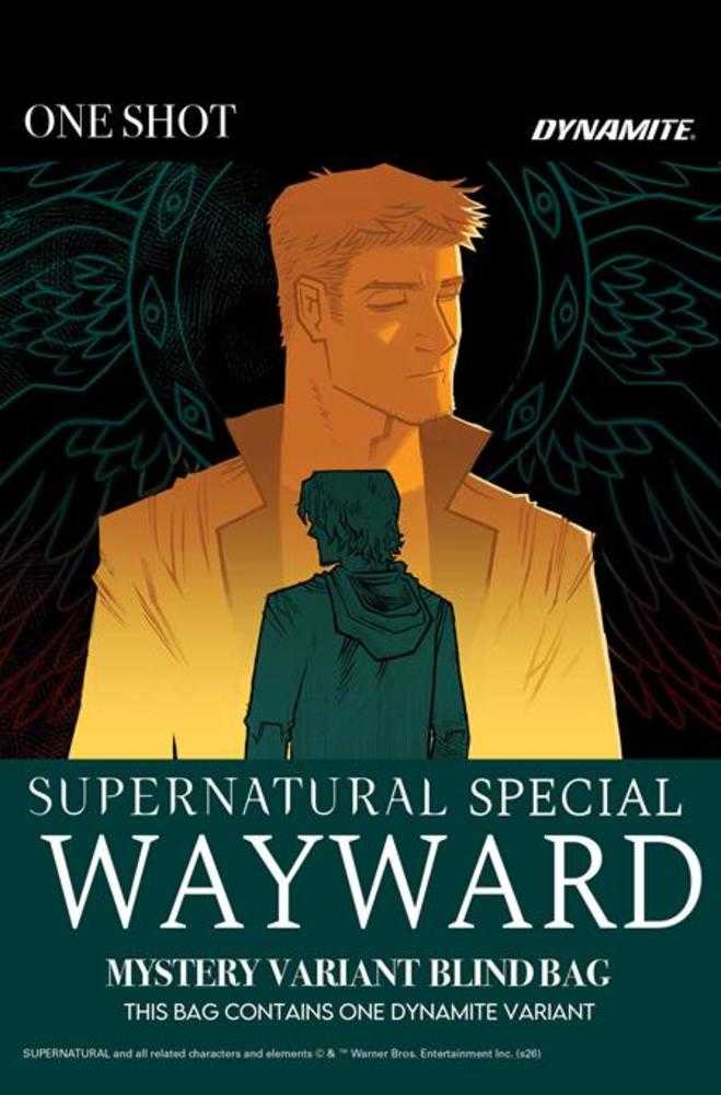 Supernatural Wayward Special #1 (One Shot) Cover E Mystery Blind Bag Variant (NM)
