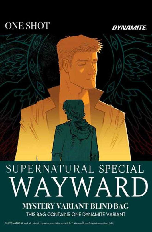 Supernatural Wayward Special #1 (One Shot) Cover E Mystery Blind Bag Variant (NM)