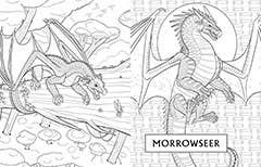 Official Wings of Fire Coloring Book