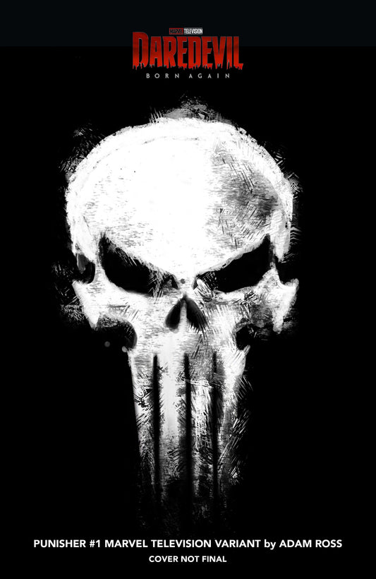 Punisher #1 Adam Ross Marvel Television Logo Variant (NM)