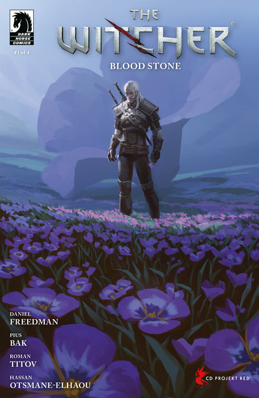 The Witcher: Blood Stone #1 (Cover C) (Axel Sauerwald) (NM)