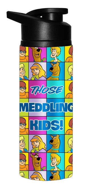 Scooby Doo Meddling Kids Grid 25oz. Stainless Water Bottle