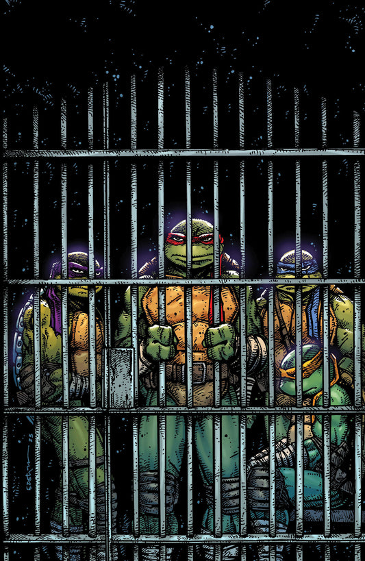 Teenage Mutant Ninja Turtles #11 1:10 Variant (Eastman Full Art) (NM)