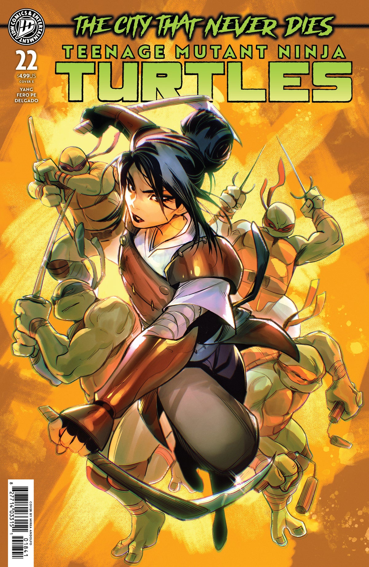 Teenage Mutant Ninja Turtles #22 Variant E (Andolfo) (NM)