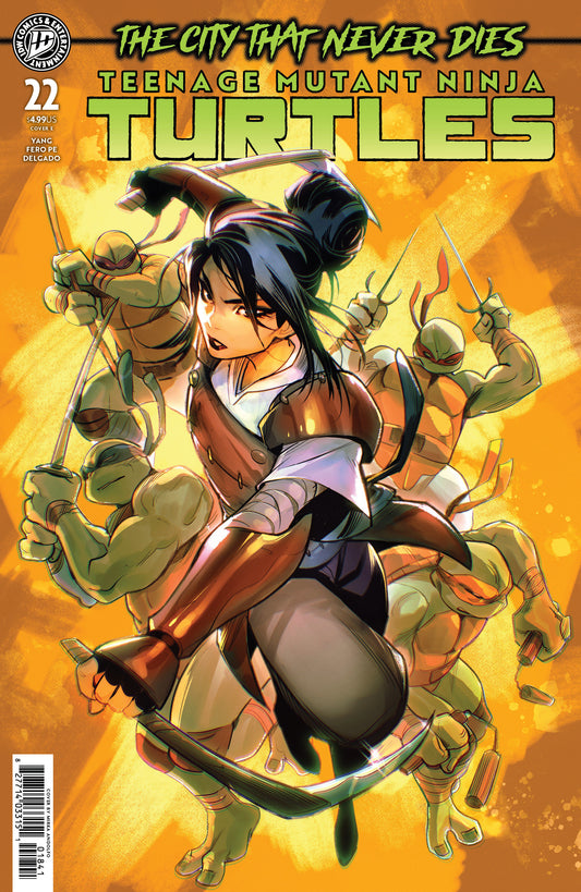 Teenage Mutant Ninja Turtles #22 Variant E (Andolfo) (NM)