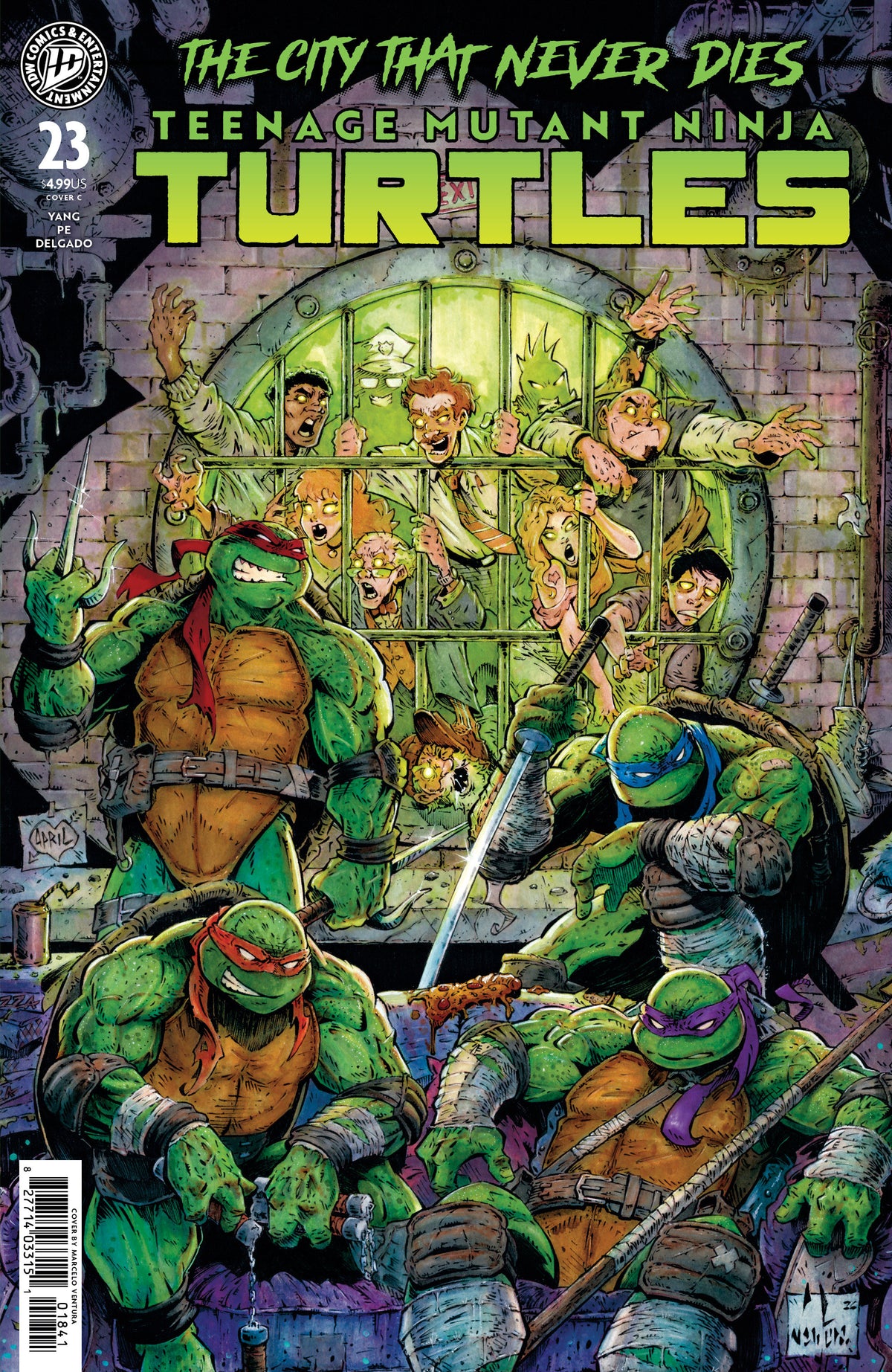 Teenage Mutant Ninja Turtles #23 Variant C (Ventura) (NM)