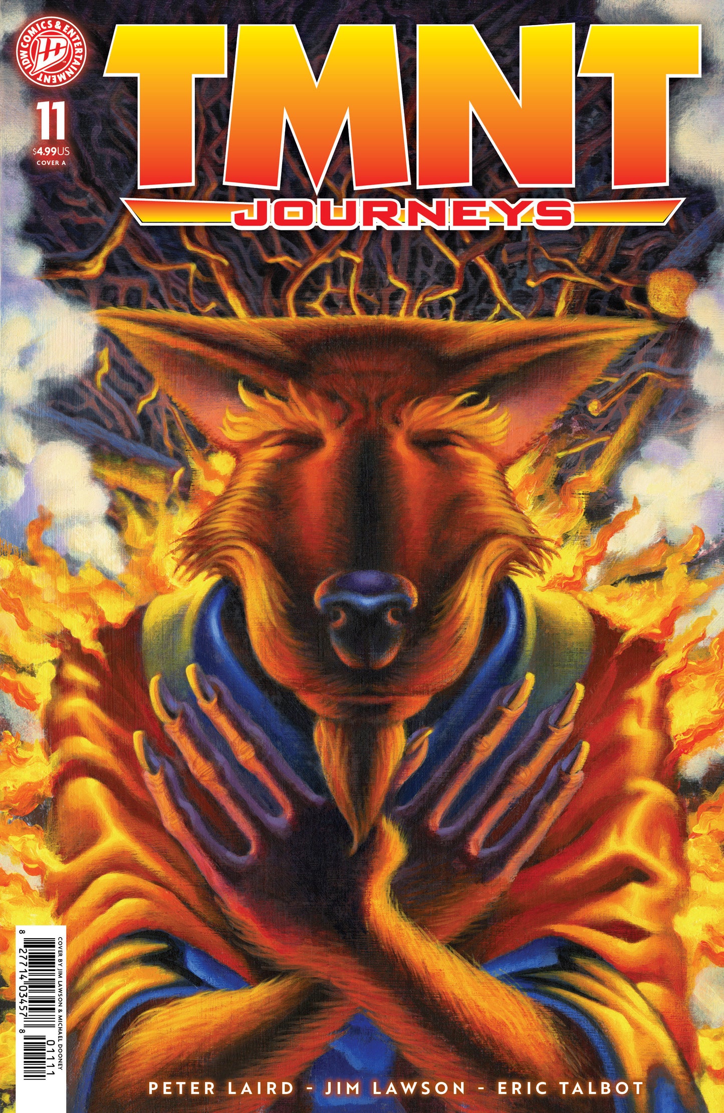Teenage Mutant Ninja Turtles: Journeys #11 Cover A (Dooney & Lawson) (NM)