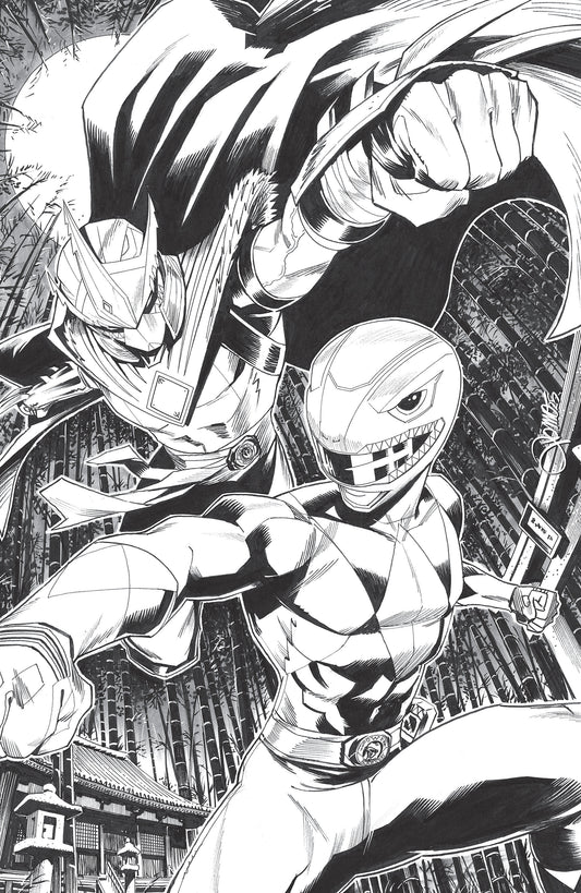 Mighty Morphin Power Rangers/Teenage Mutant Ninja Turtles III #2 E 1:10 Variant Edition (Full Art, Zonno) (NM)