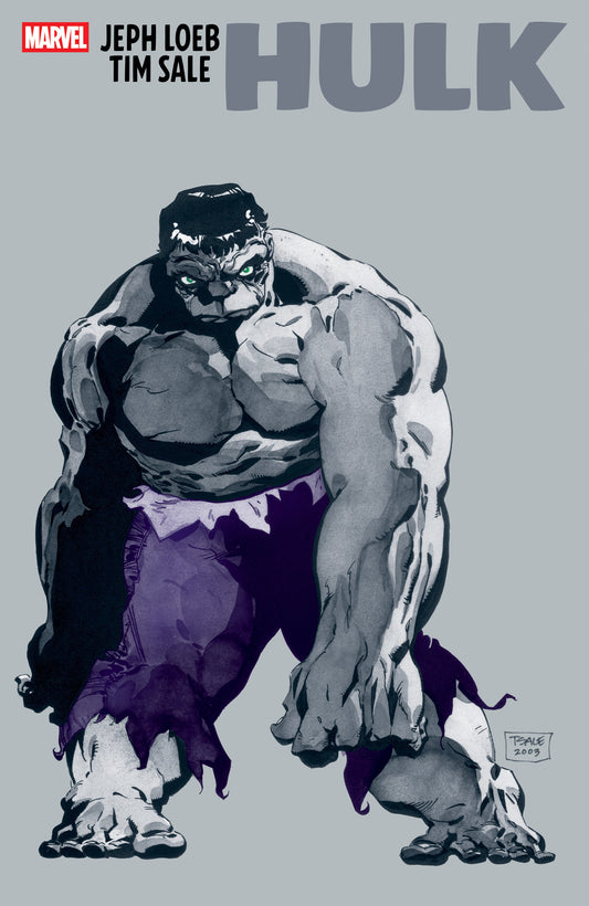 Jeph Loeb & Tim Sale: Hulk (NM)