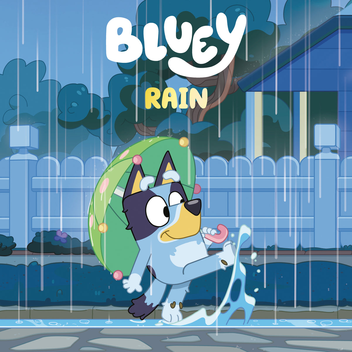 Bluey: Rain (NM)