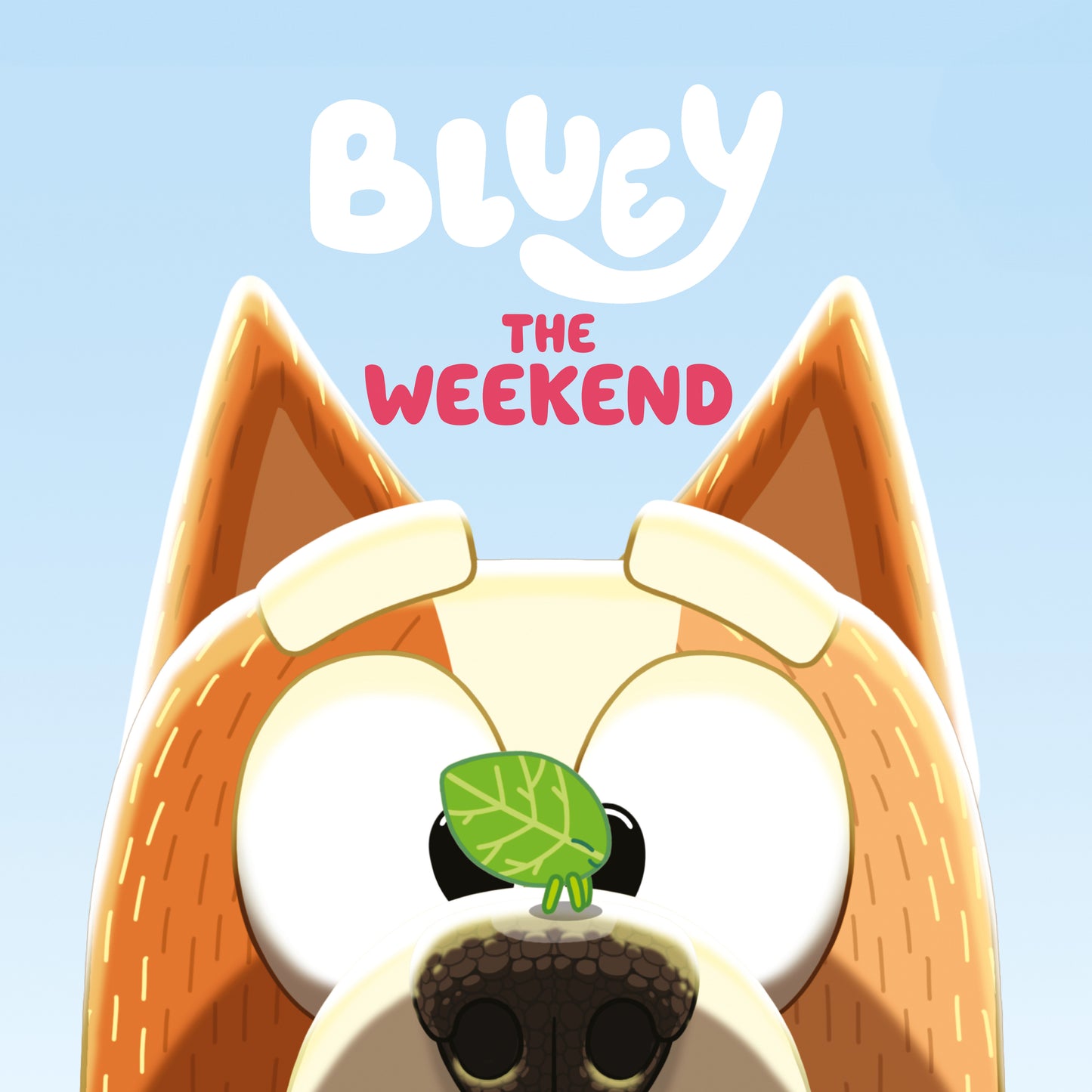 Bluey: The Weekend (NM)