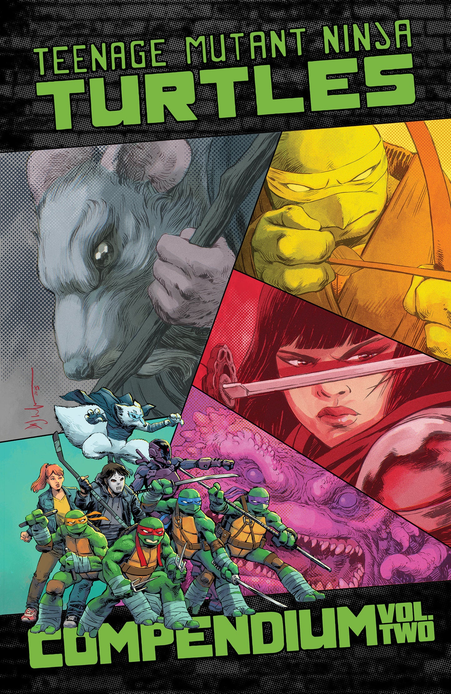 Teenage Mutant Ninja Turtles: Ongoing Compendium, Volume. 2 (NM)