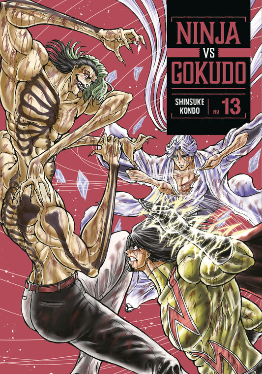 Ninja vs. Gokudo 13 (NM)
