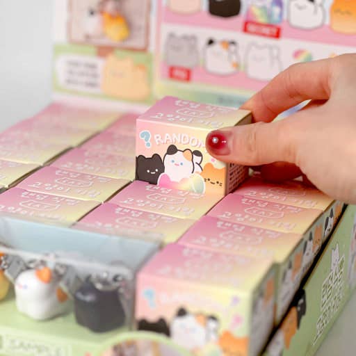 Kawaii Bread Cat Keychain – Mystery Blind Box (1 Box)