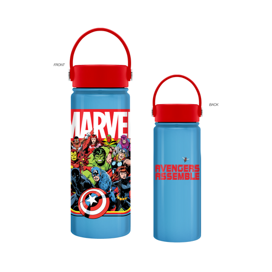 Marvel Beyond Mightiest 20oz SS Water Bottle w Swivel Handle