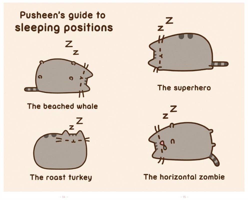 I Am Pusheen the Cat by Claire Belton (NM)