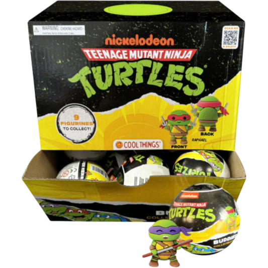 Teenage Mutant Ninja Turtles Blind Capsule (1 Surprise)