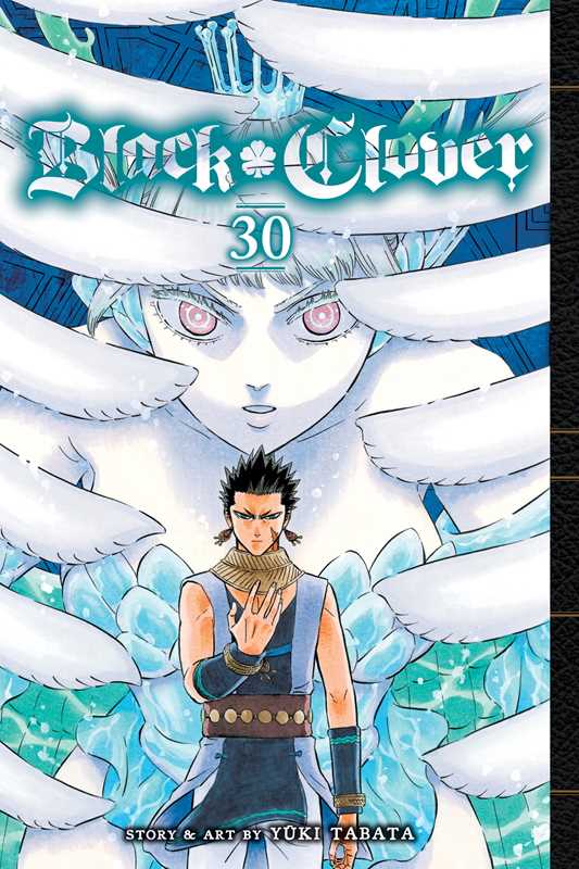 Black Clover, Vol. 30 by Yuki Tabata (NM)